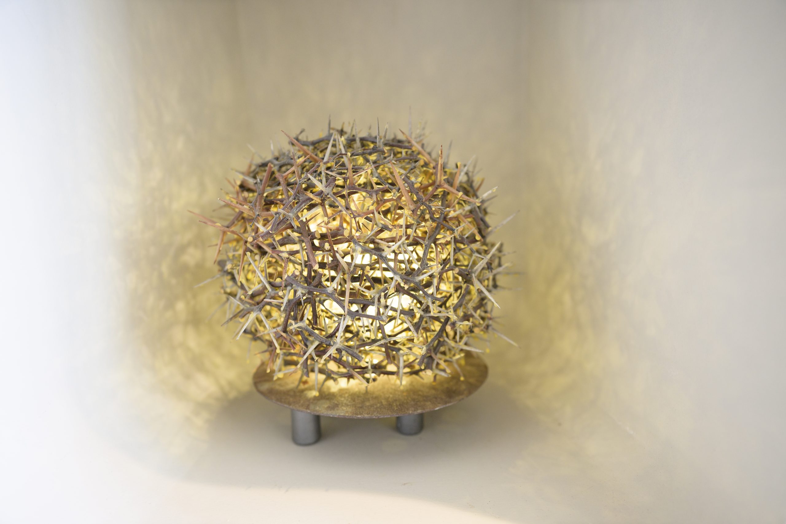 Meet Herman van Bergen