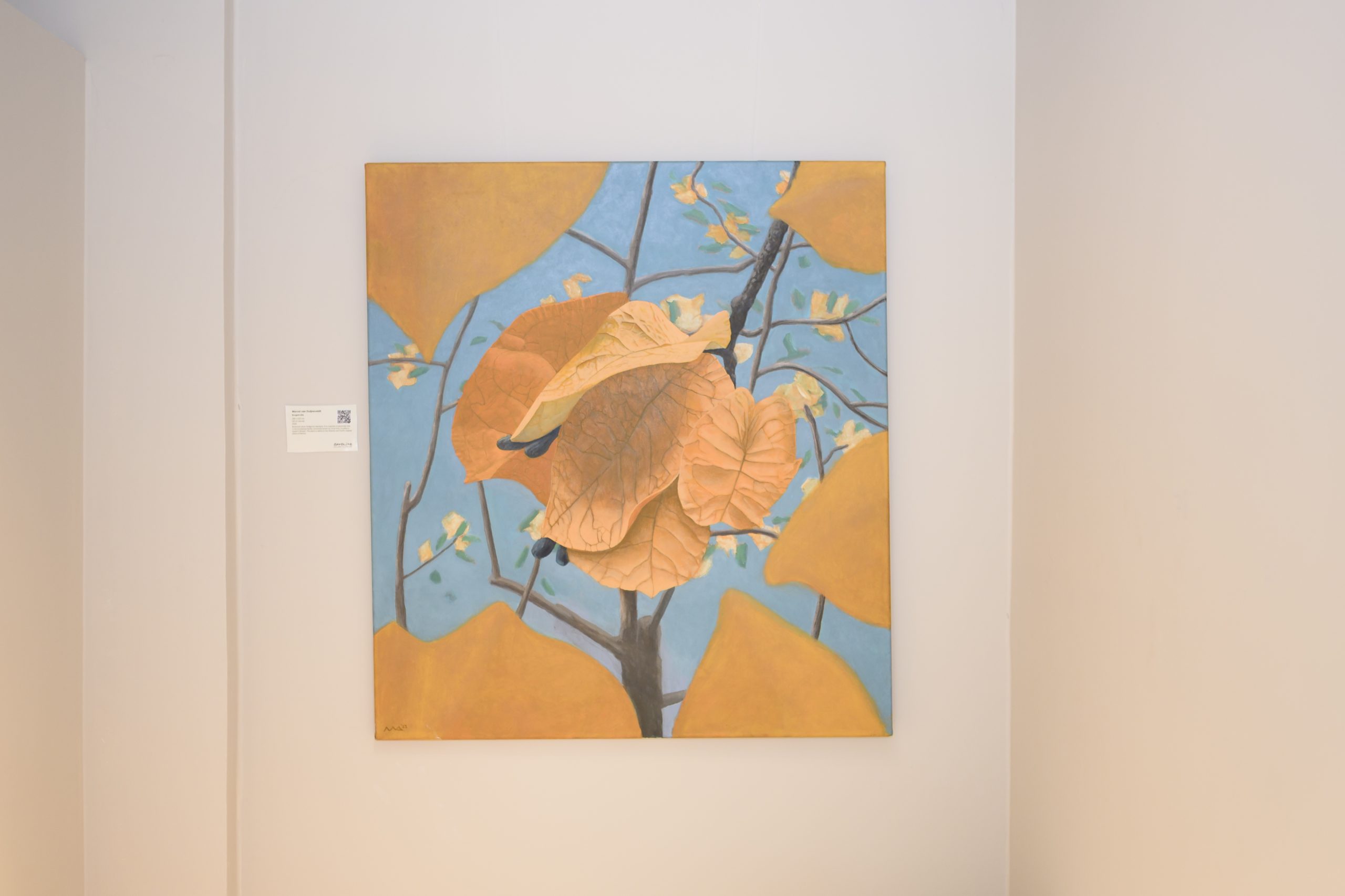 Meet Marcel van Duijnevelt